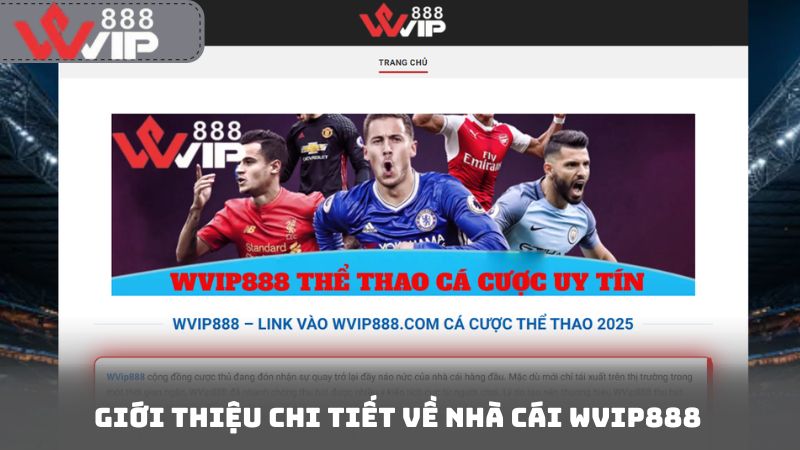 Giới thiệu chi tiết về nhà cái wvip888