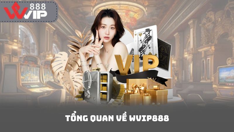 Tổng Quan Về Wvip888